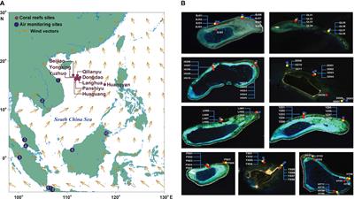 The effects of atmospheric nitrogen deposition in coral-algal phase shifts on remote coral reefs